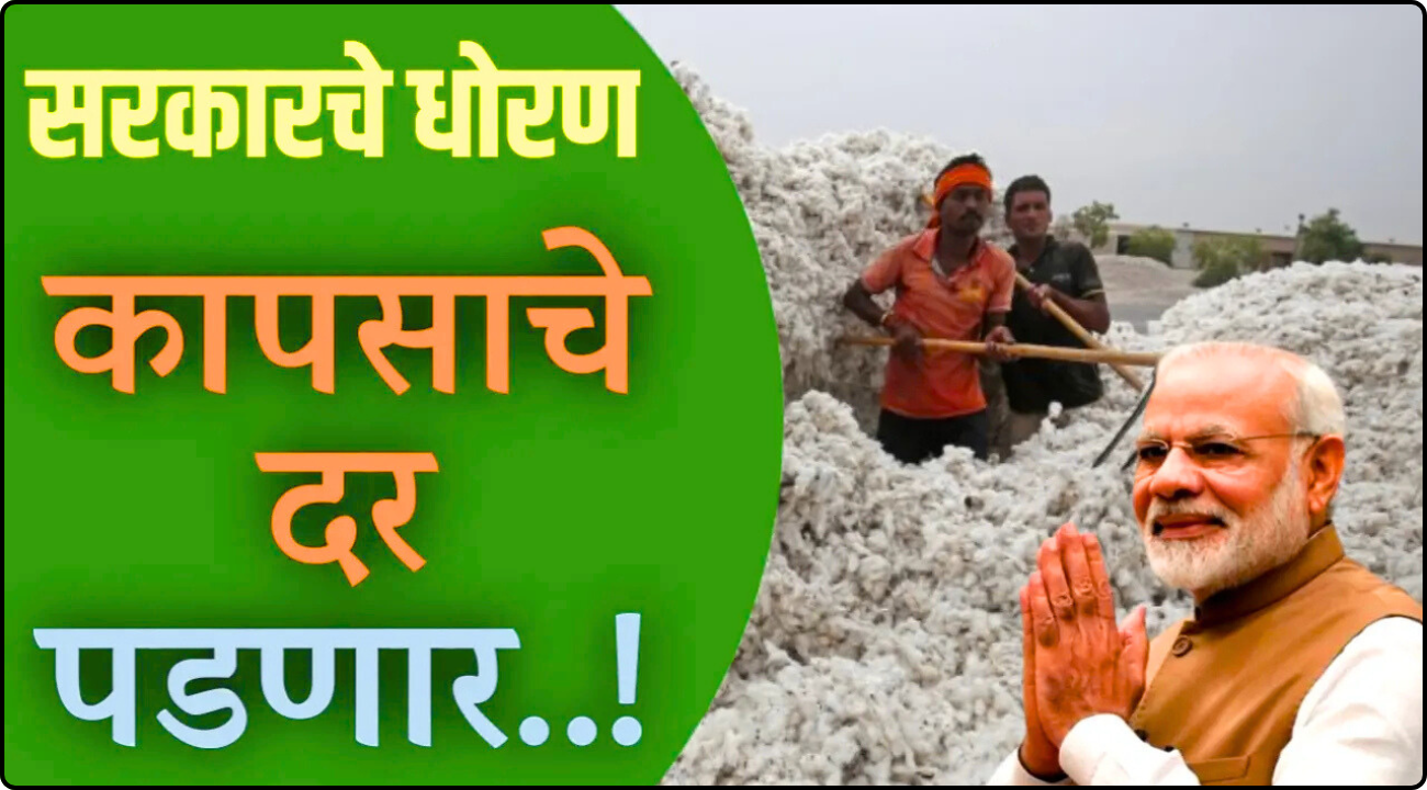 Cotton price