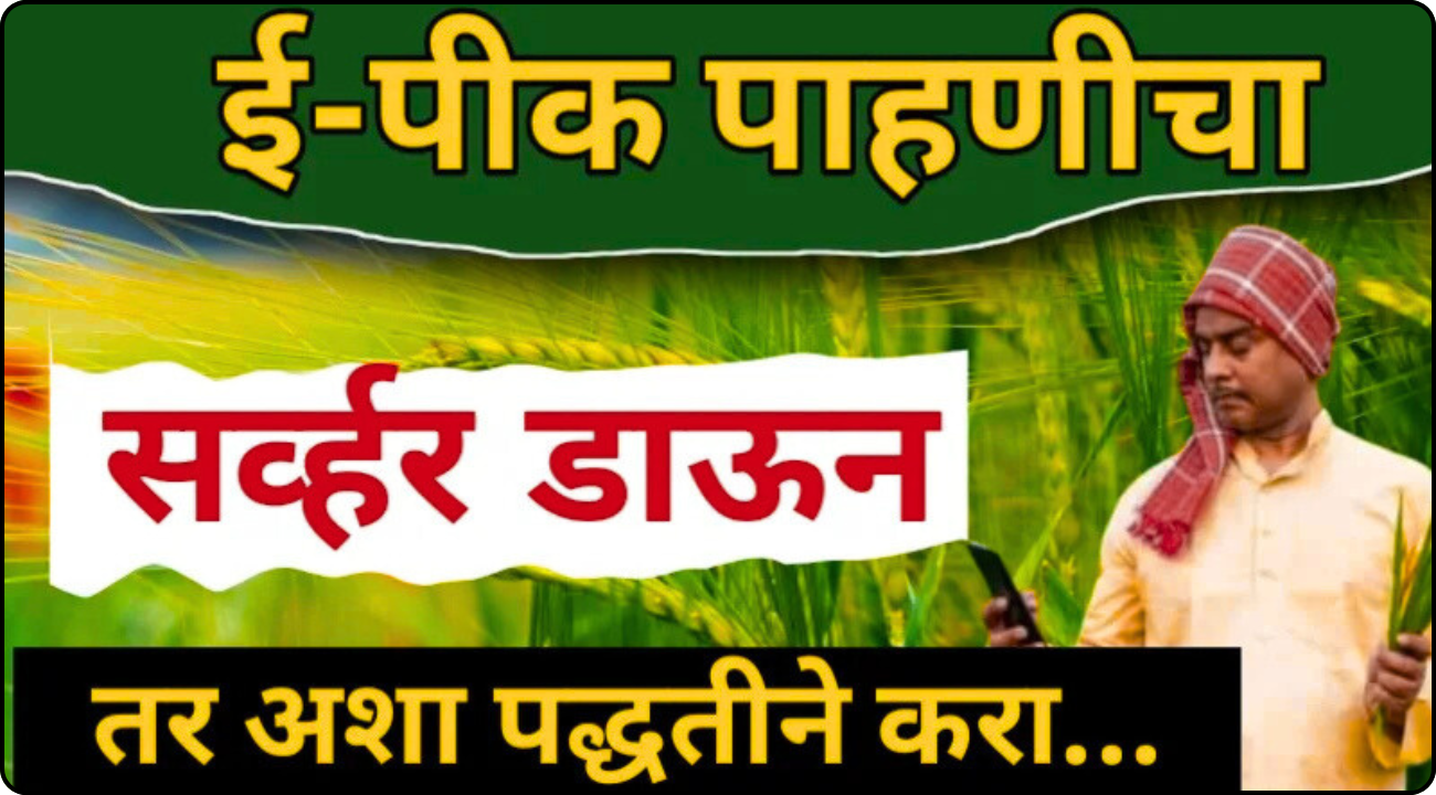 E Pik Pahani 2025