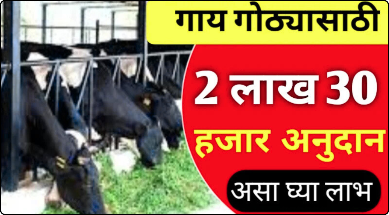 Gai Gotha Yojana 2025