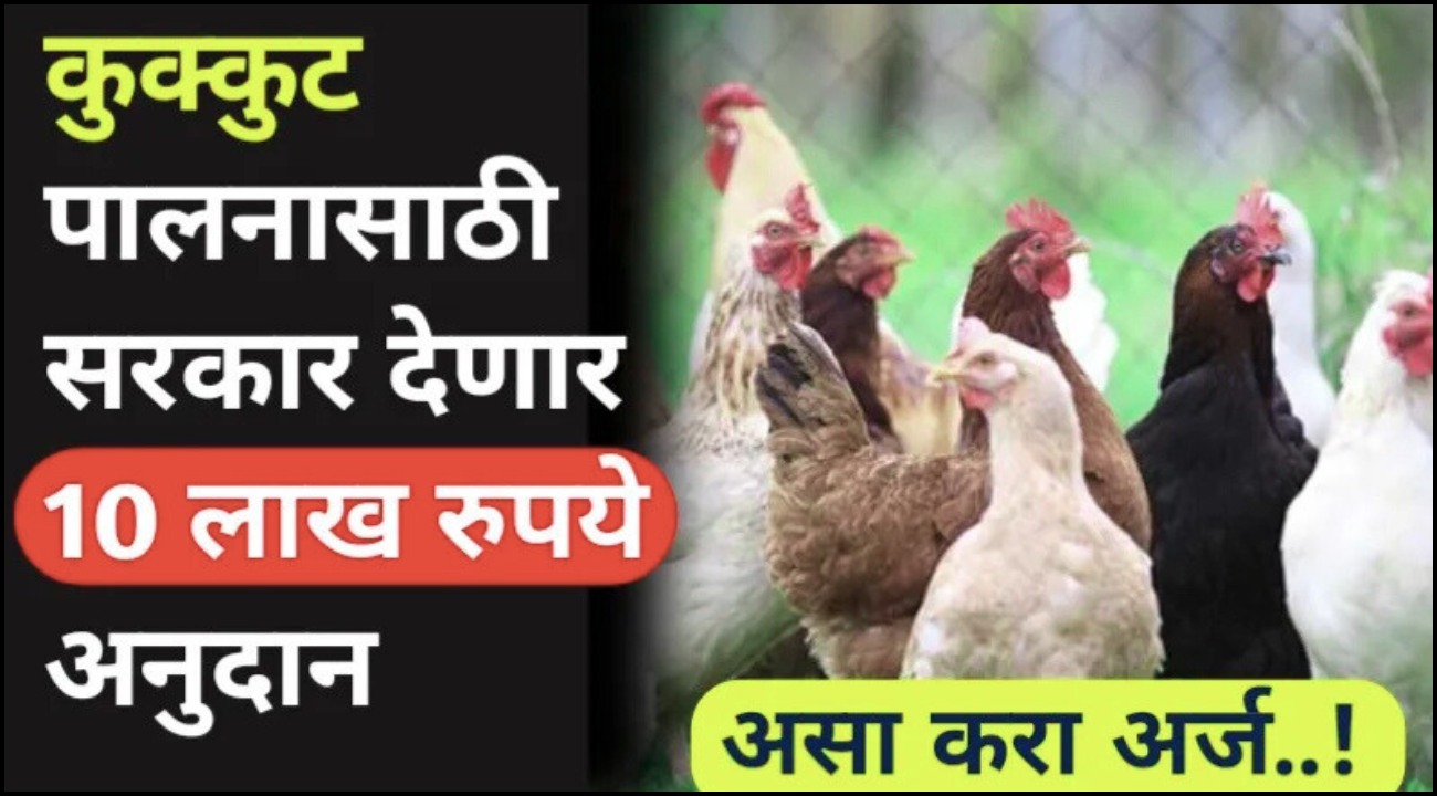 Kukut Palan Yojana Apply