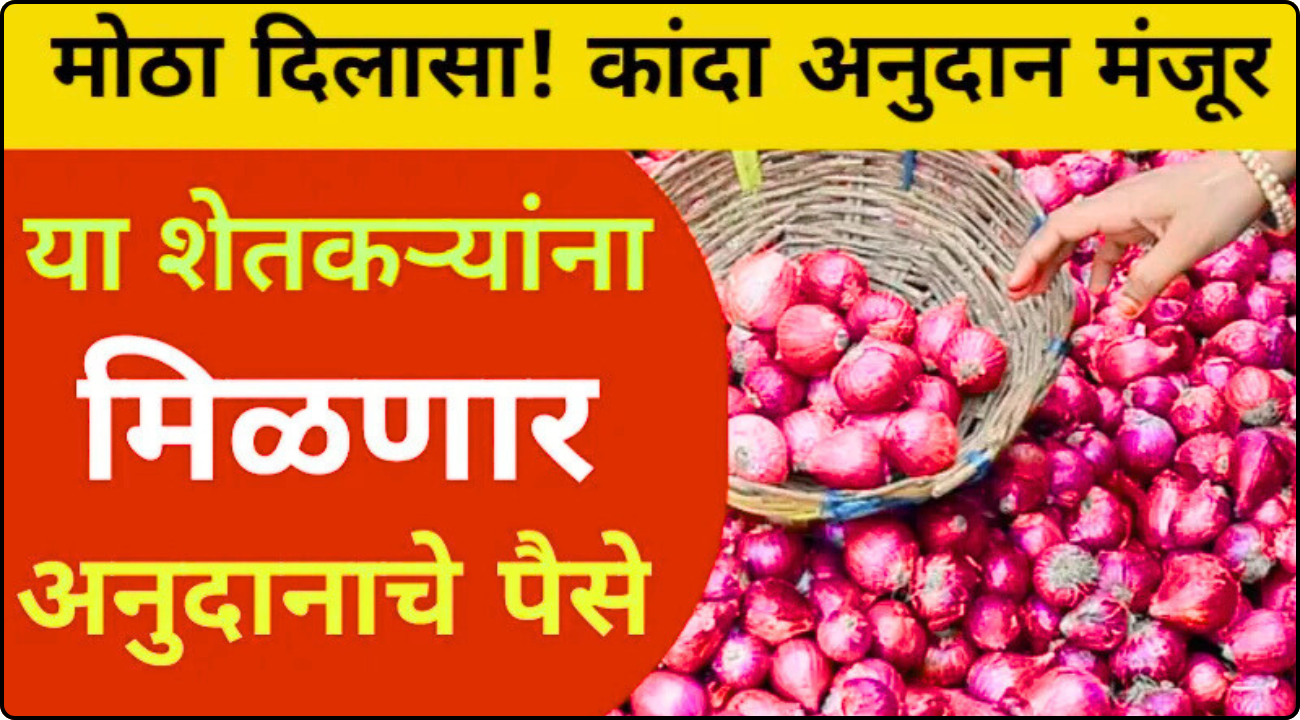 Onion Subsidy