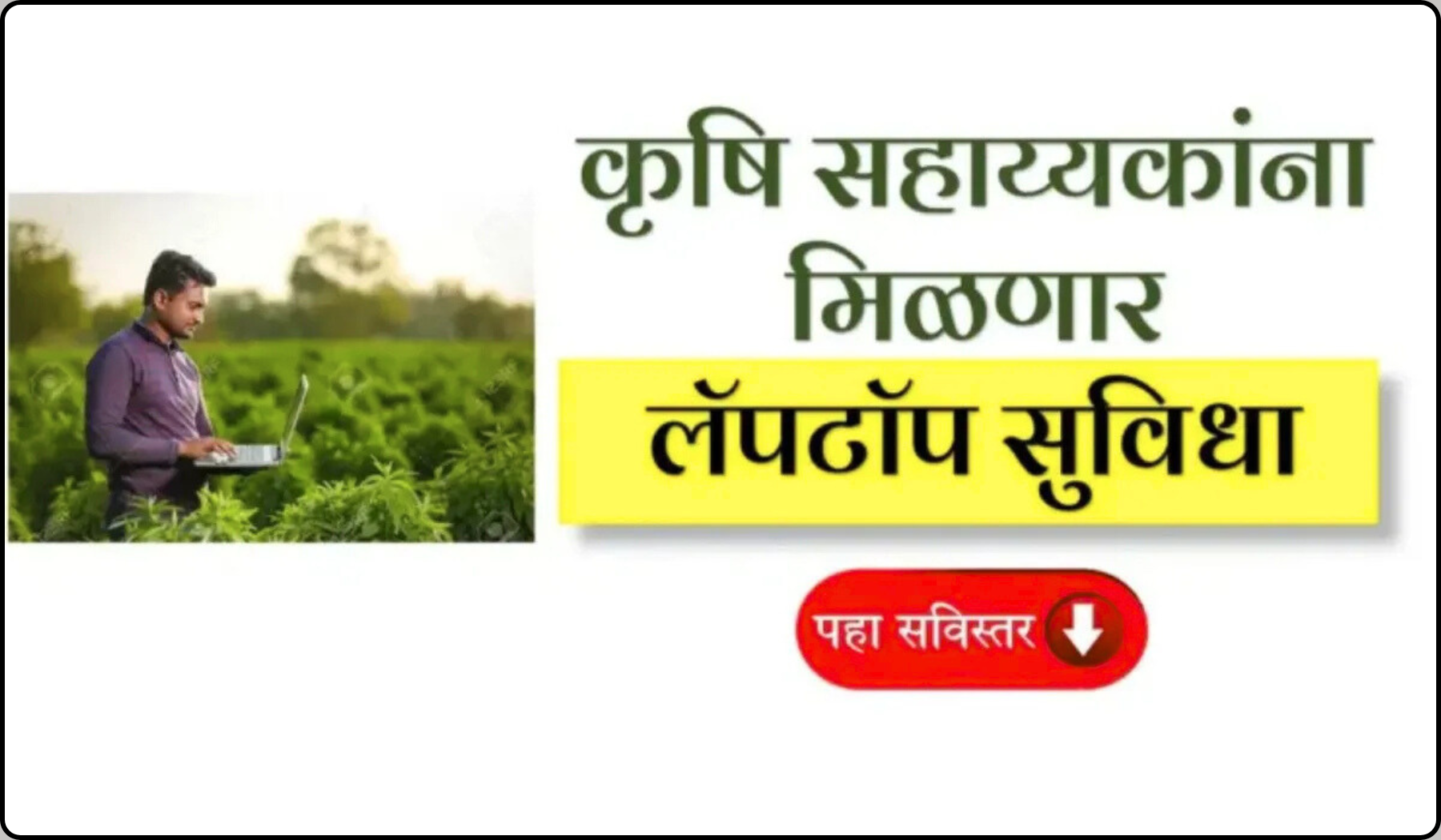 Government Decision