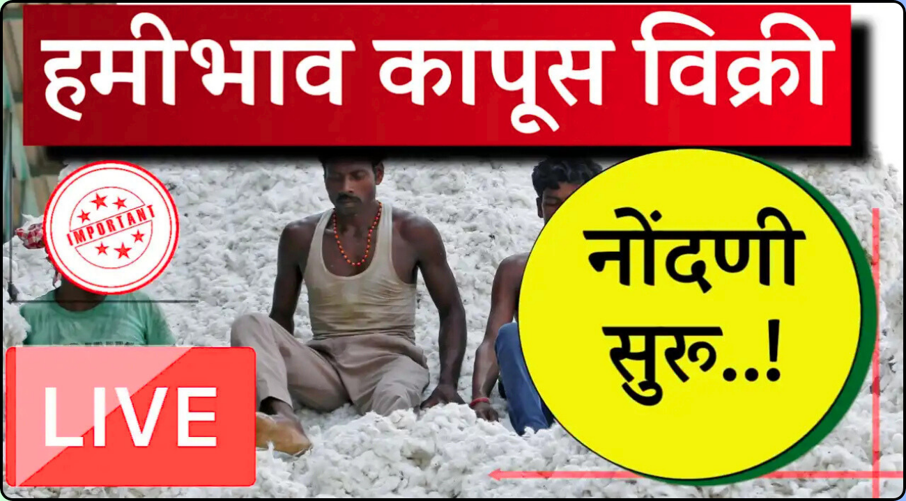 MSP Cotton Registation 2025