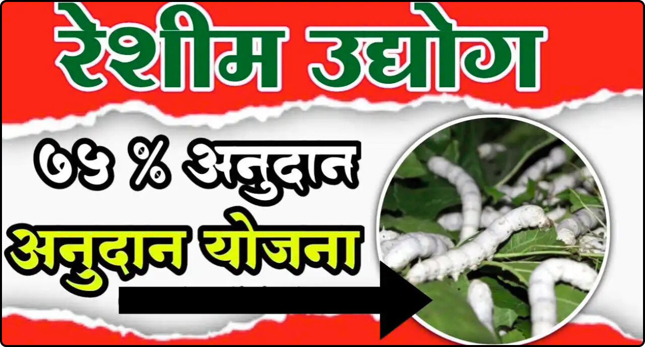 Mulberry Cultivation