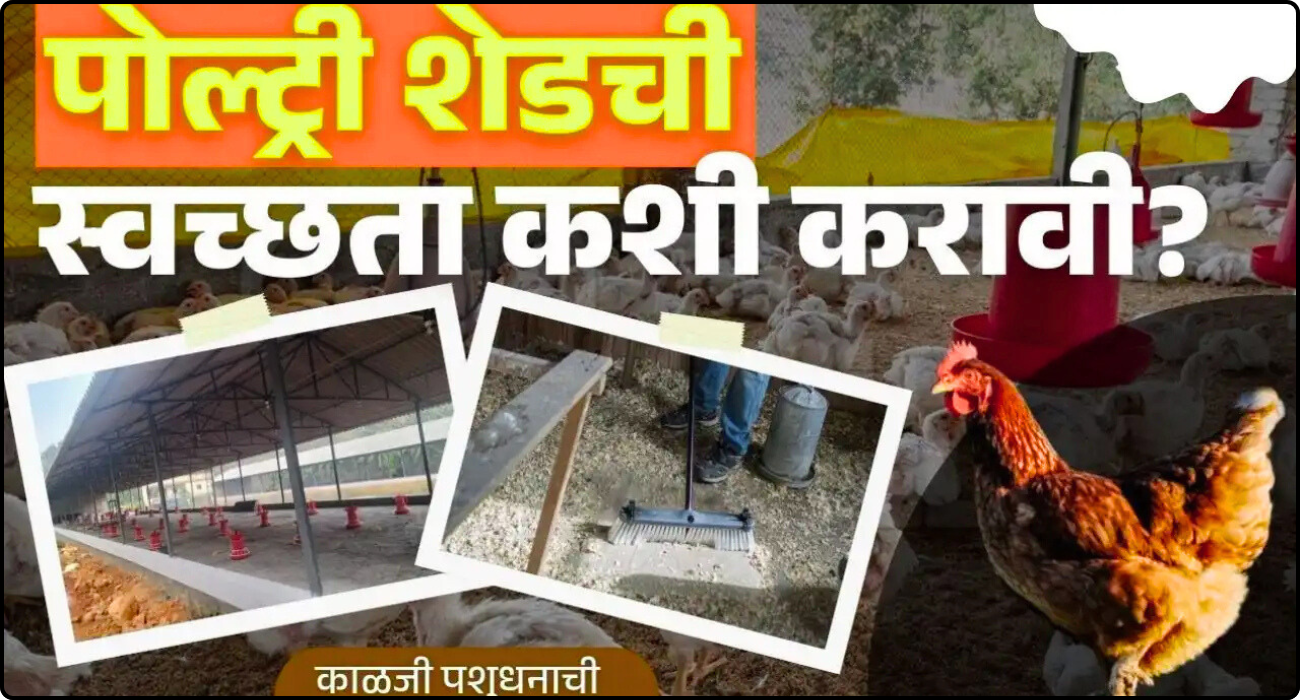Poultry Farm