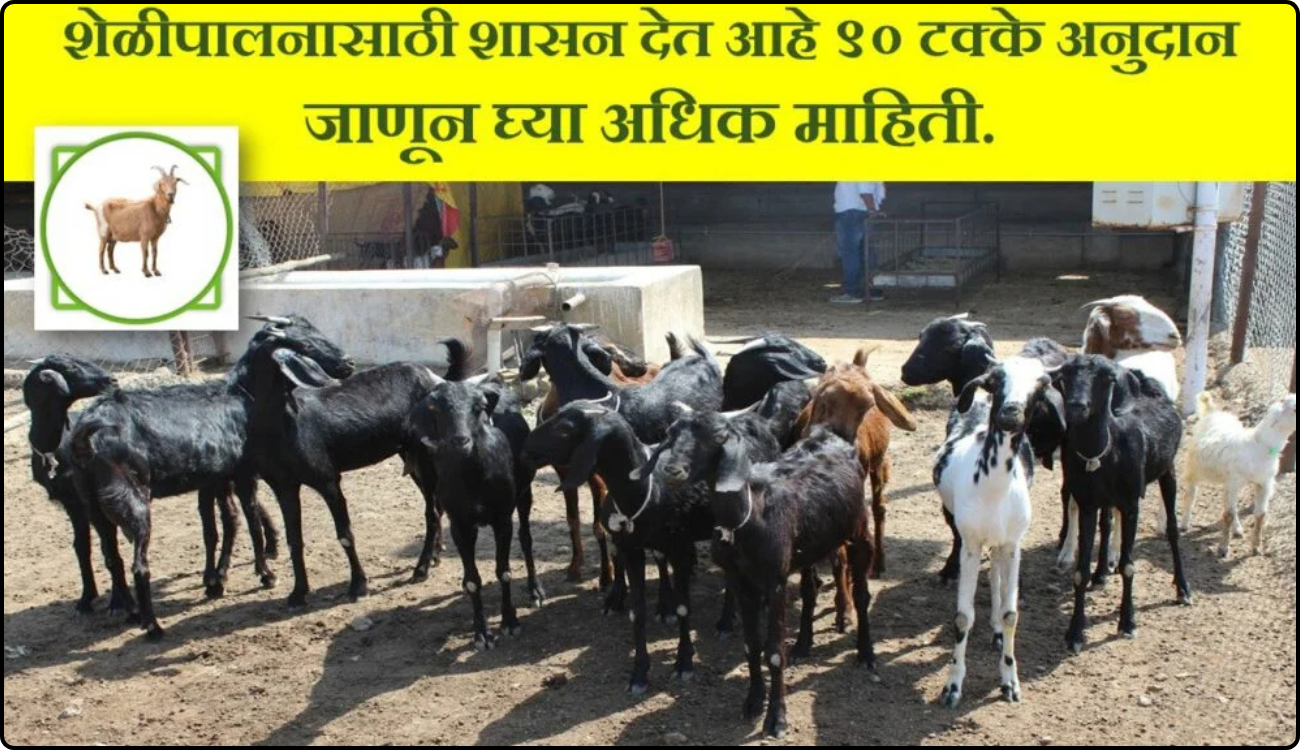 Goat Rearing Subsidy